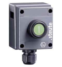 Ex Command device Ex BF 80 1 DT IP66 (1NC/1NO) II 2G Ex edqm //